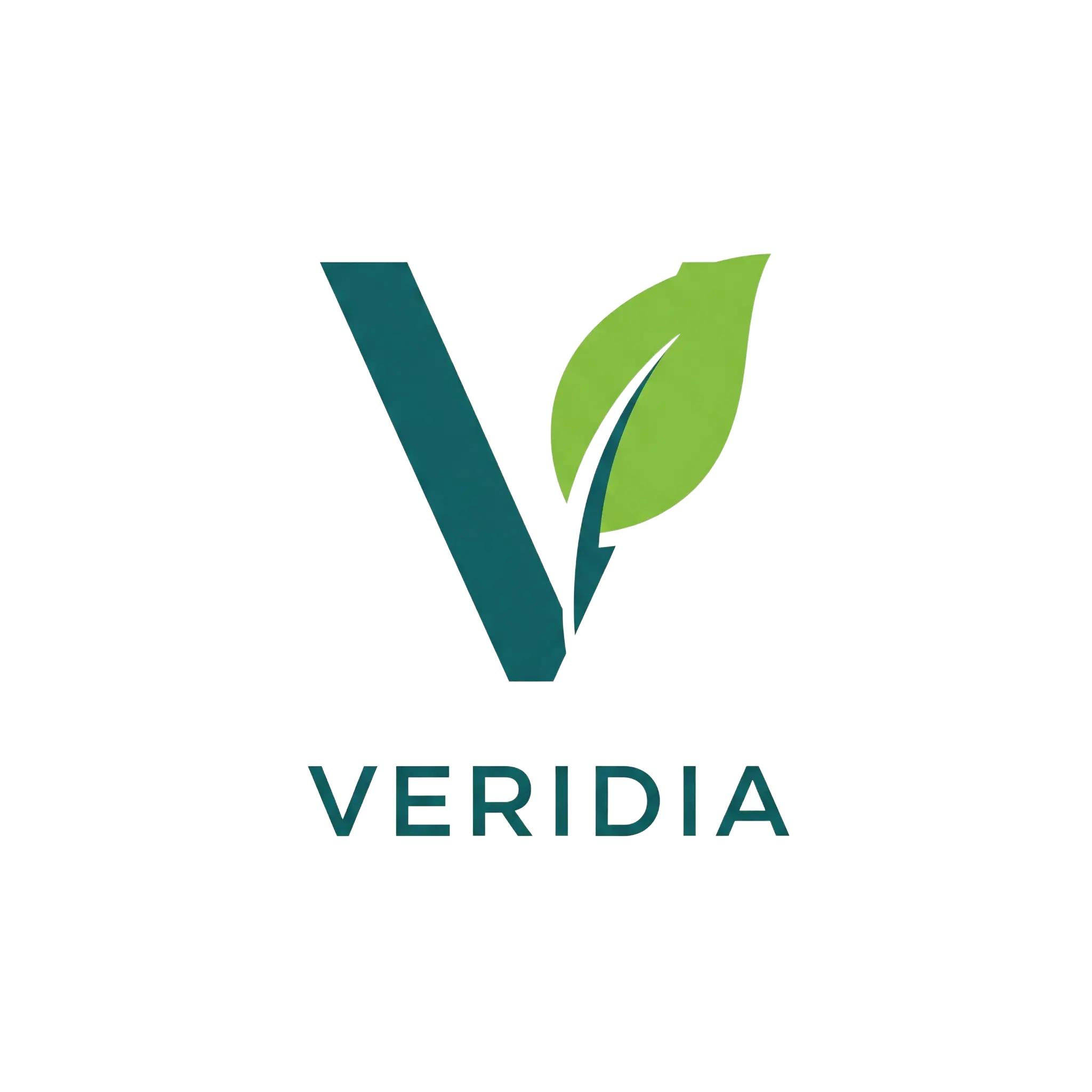 Veridia Merch Veridia